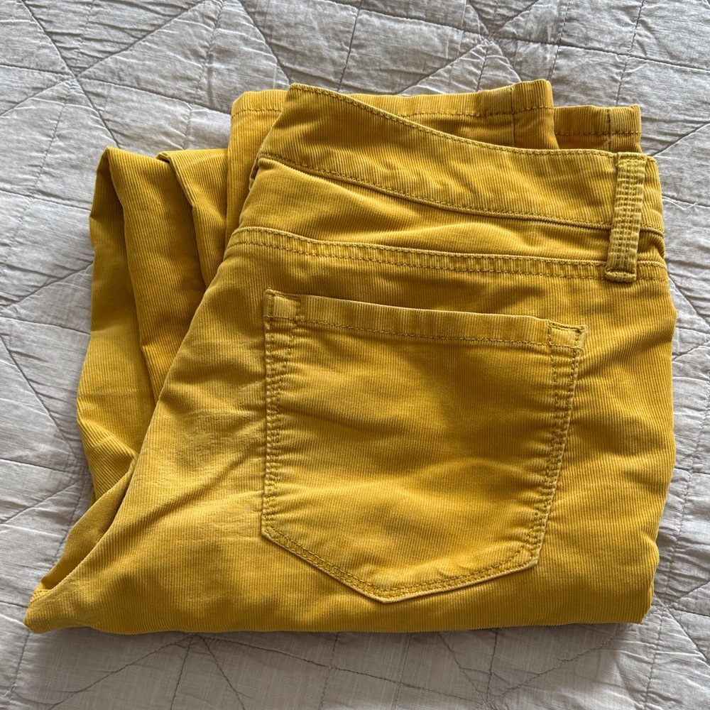 LOFT Yellow Pants